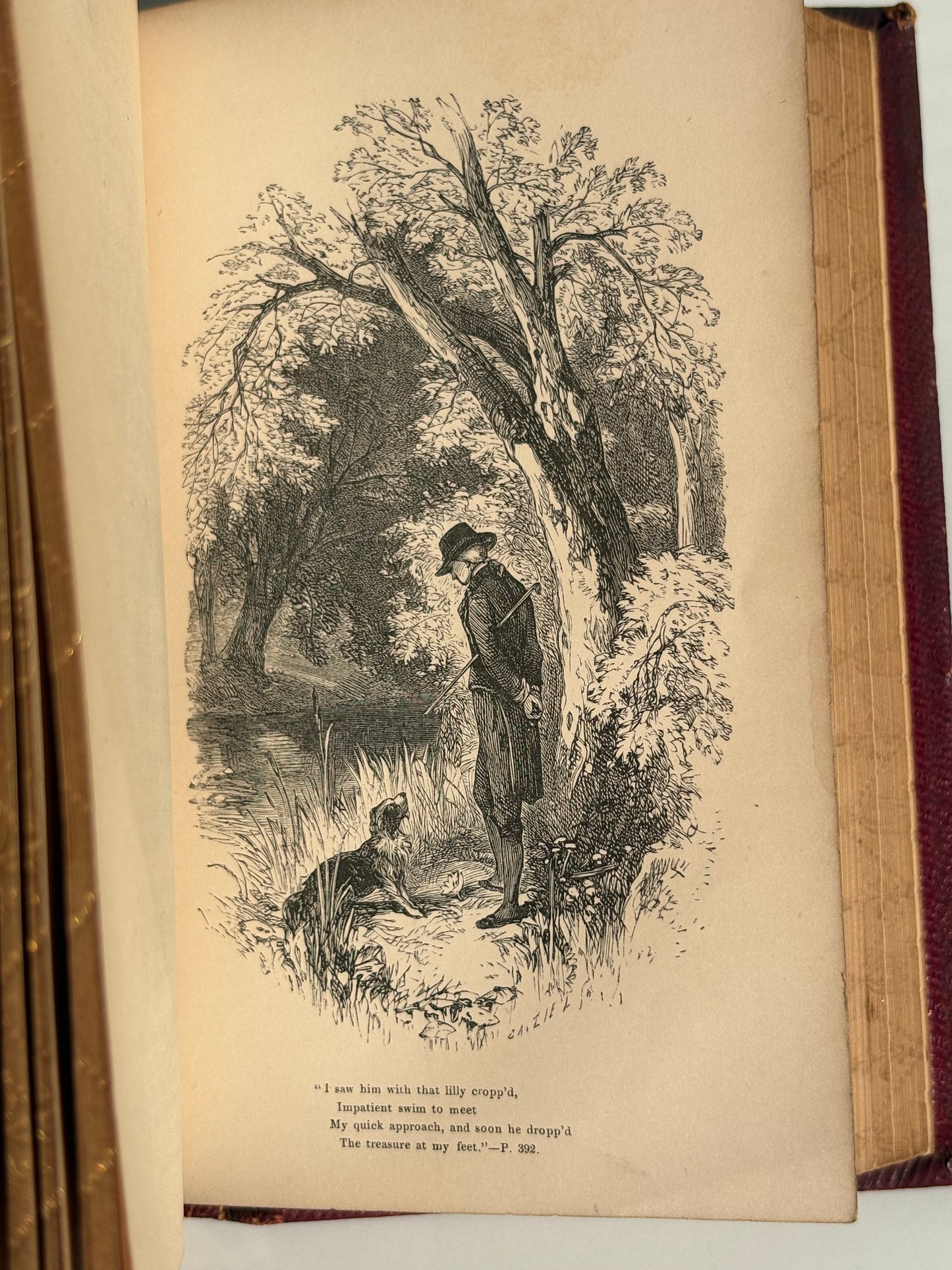 Cowper Poetical Works - Gauffered Edges