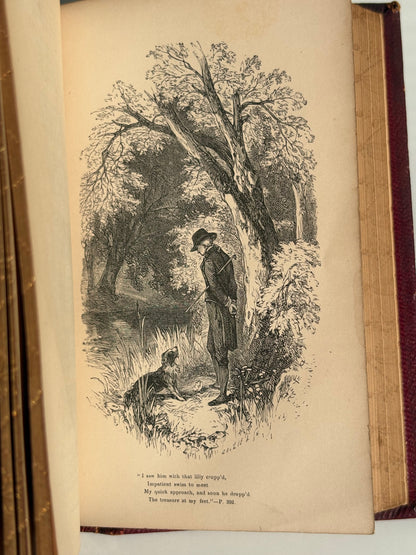 Cowper Poetical Works - Gauffered Edges