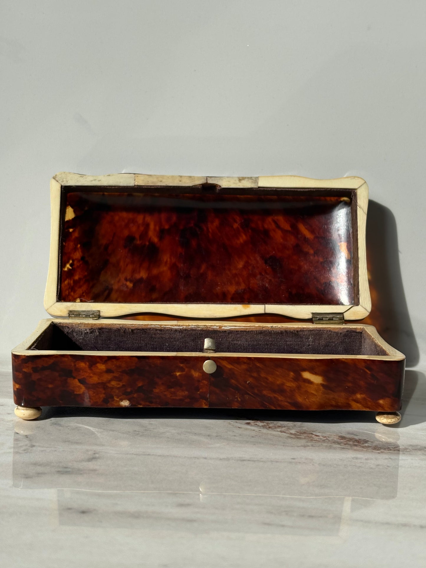 19th Century Tortoise Shell Box
