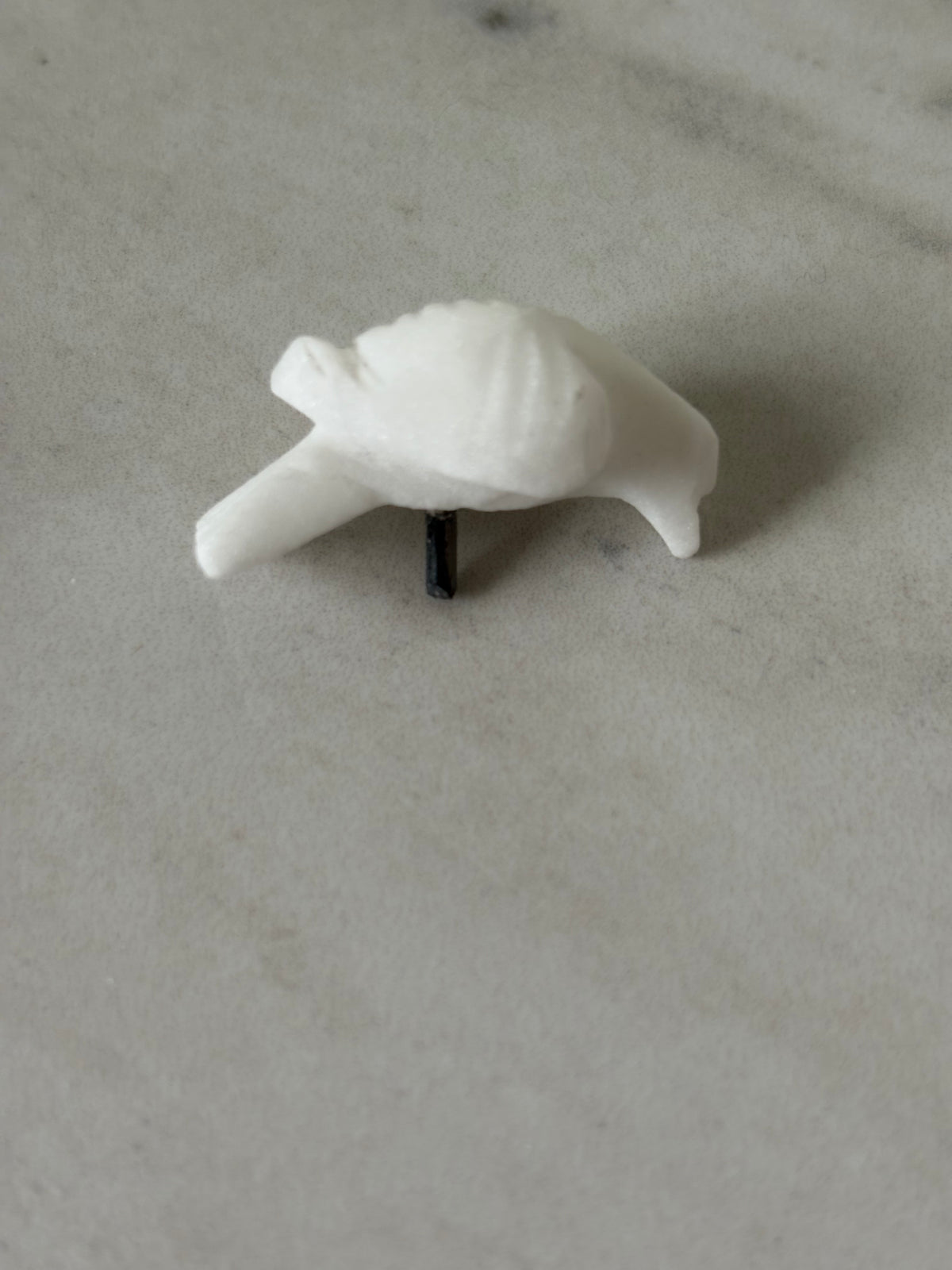 Alabaster Bird