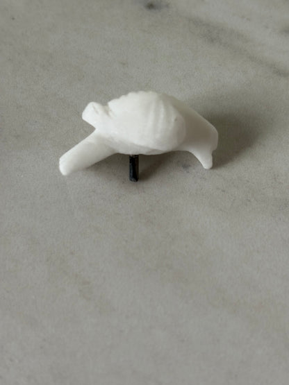 Alabaster Bird