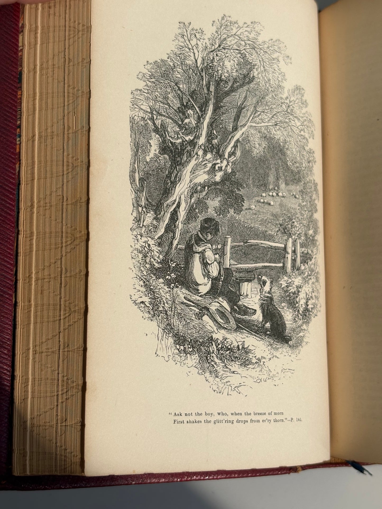 Cowper Poetical Works - Gauffered Edges