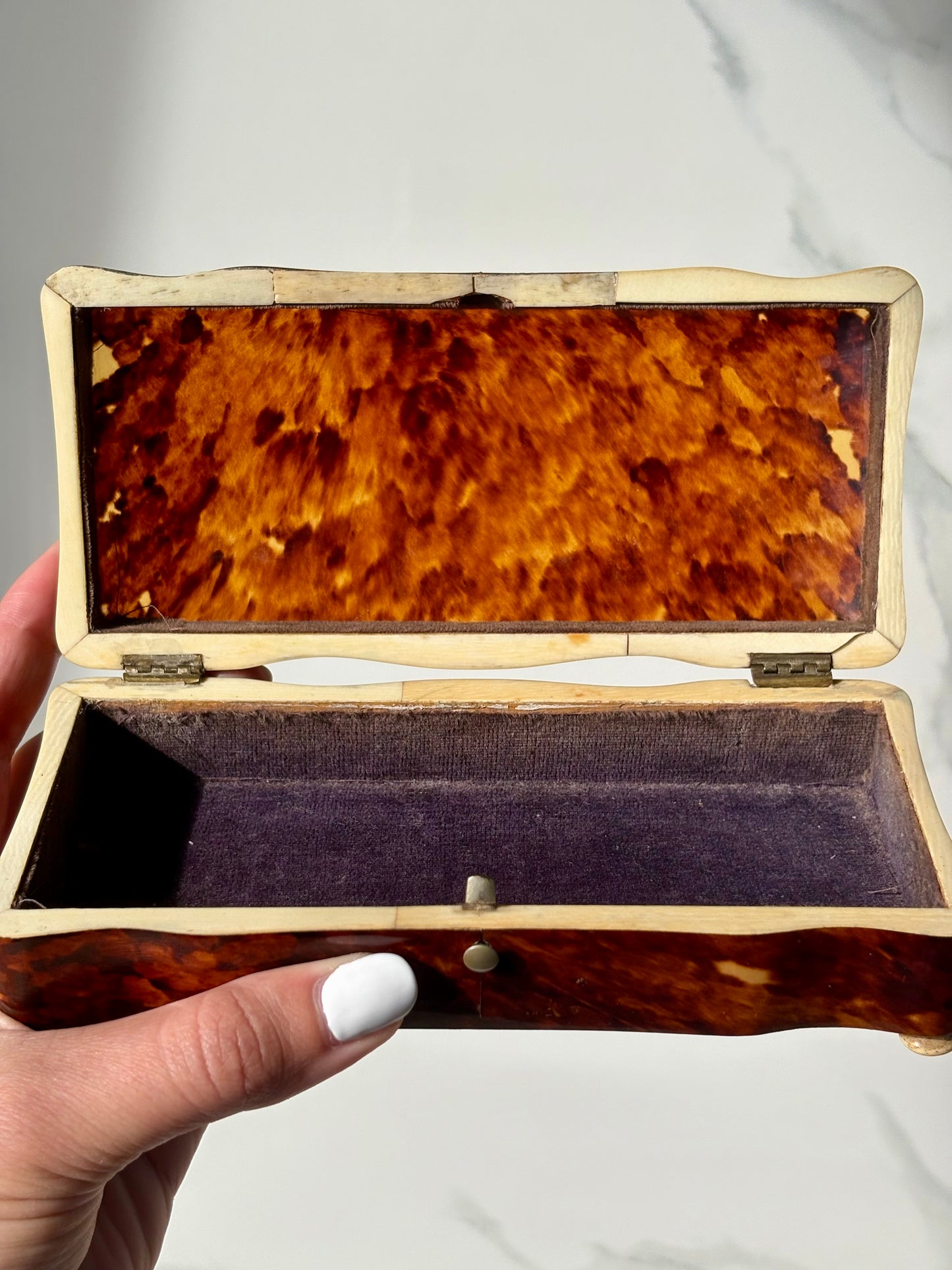 19th Century Tortoise Shell Box