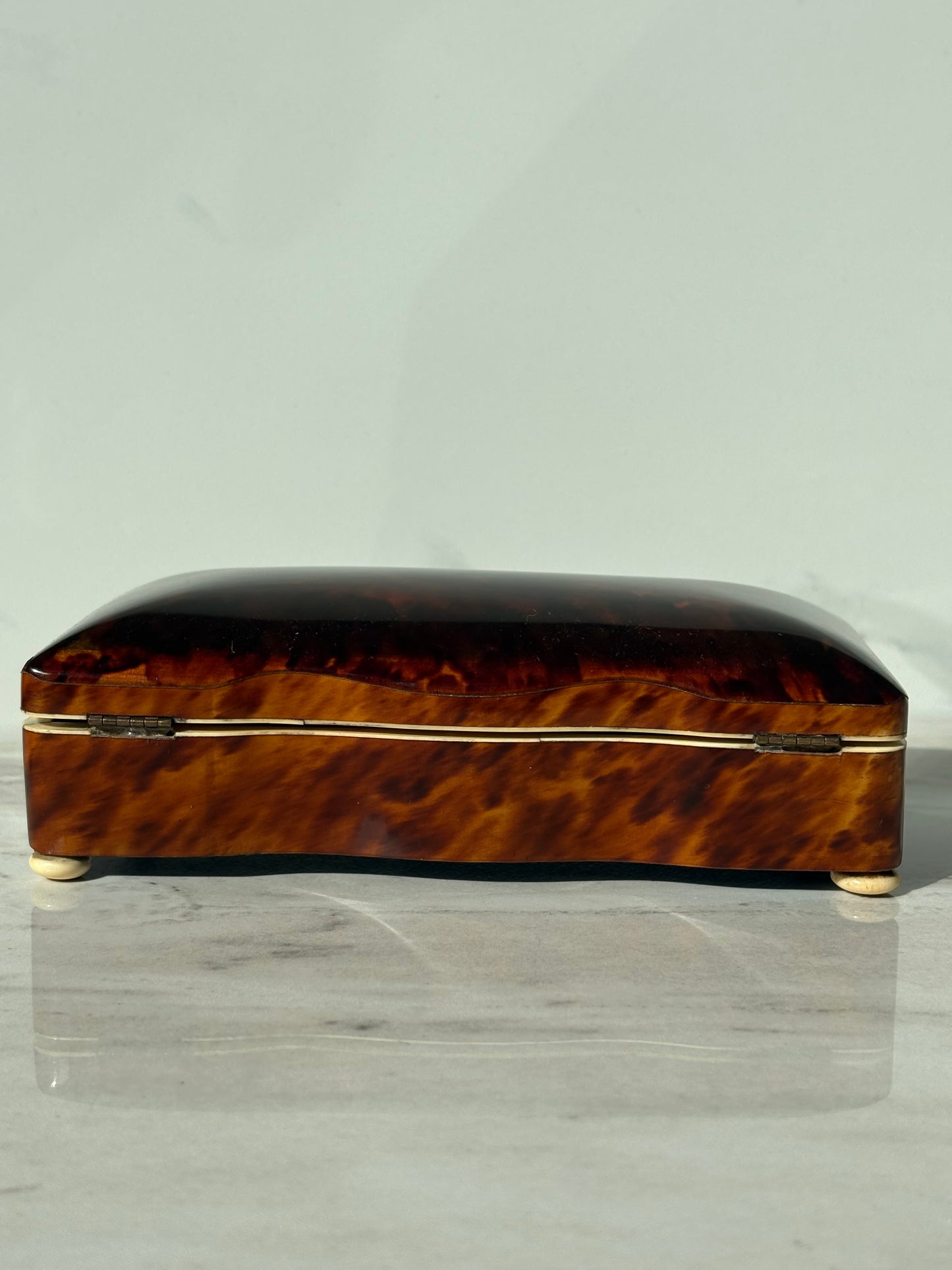 19th Century Tortoise Shell Box