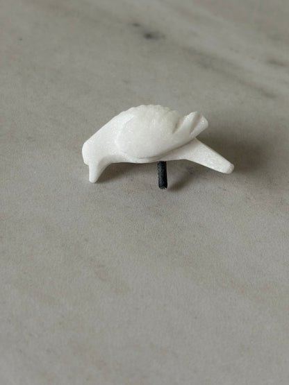 Alabaster Bird